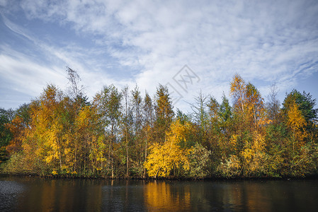 秋天的风景与金色的秋叶树上,秋天条黑暗的河流旁边,树水中反射图片