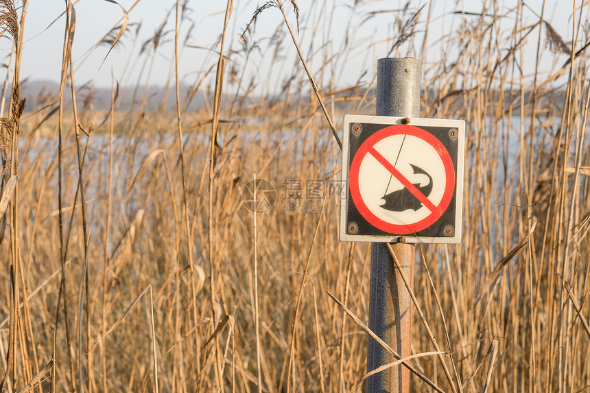 条高芦苇的河边钓鱼标志,钓鱼标志,没钓鱼警告图片