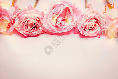 粉红色玫瑰花边与博凯照明,粉彩,贺卡图片