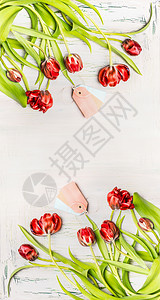 白色花朵边框美丽的红色弯曲郁金香与标签白色木制背景,顶部视图,垂直花卉边框春天的花朵背景