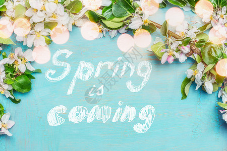 四月来了春天来了,春天的花枝与蓝色绿松石背景,顶部的景色,边界春天的背景