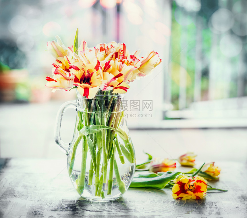 美丽的斑驳郁金香璃花瓶窗口与春天的自然鹦鹉郁金香花图片