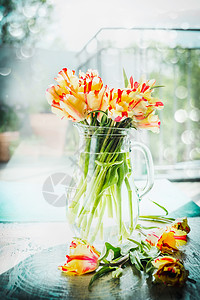 美丽的寻常的斑驳红色黄色郁金香璃花瓶窗口与春天的自然鹦鹉郁金香花图片