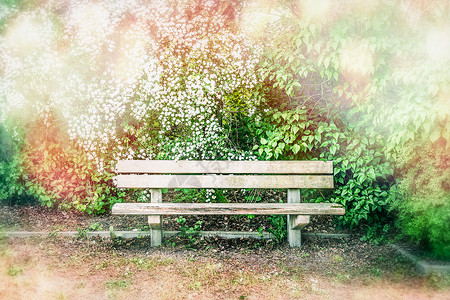 春天夏天公园花园花丛中的木凳,户外自然图片