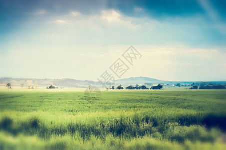 夏季自然景观背景,绿地美丽的天空,户外图片