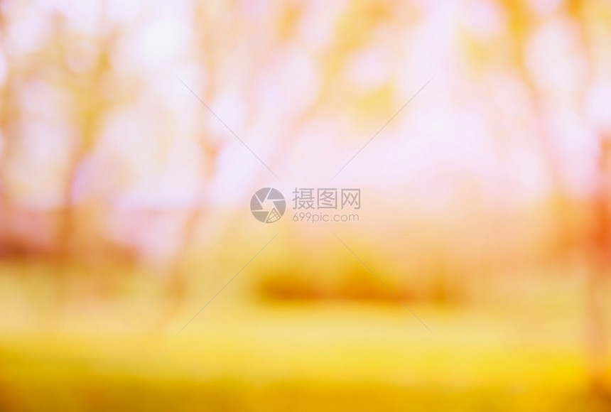 模糊的秋天自然背景与树木黄色草坪图片
