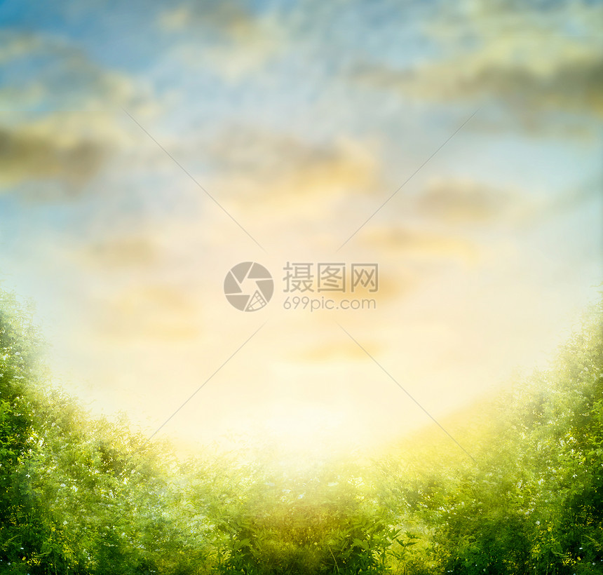 大自然用天空绿色的灌木丛树叶模糊了背景图片