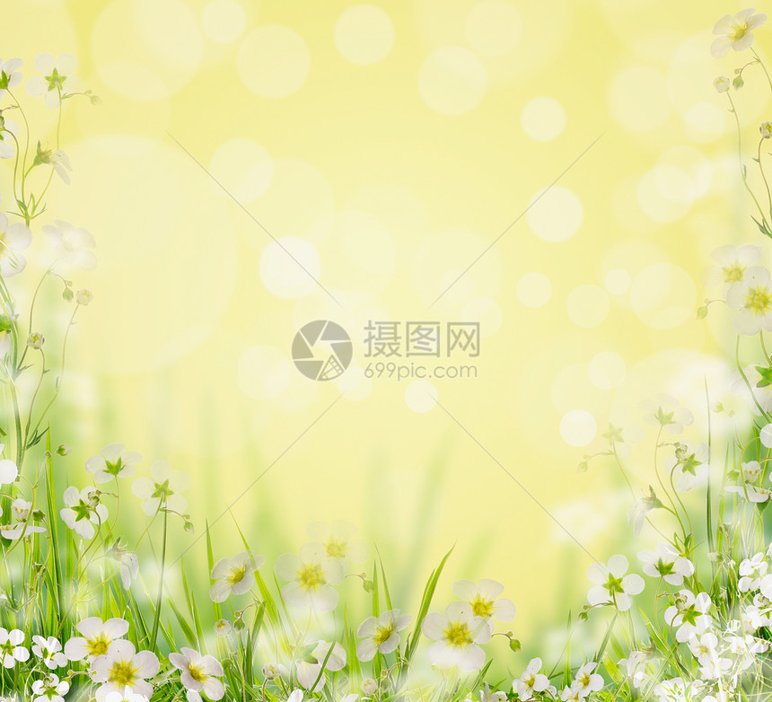 草与白花模糊的自然背景,花的边界图片