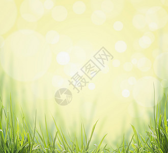 阳光明媚的Boken自然背景上的绿草图片