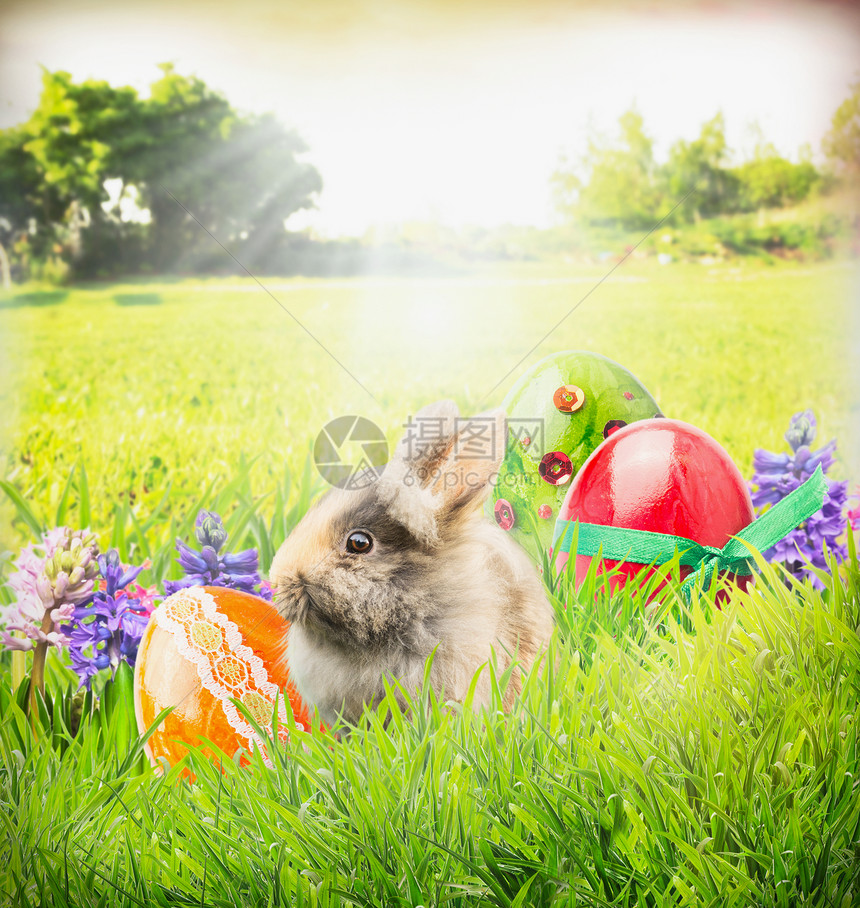 复活节卡片与兔子,彩色鸡蛋花花园草图片