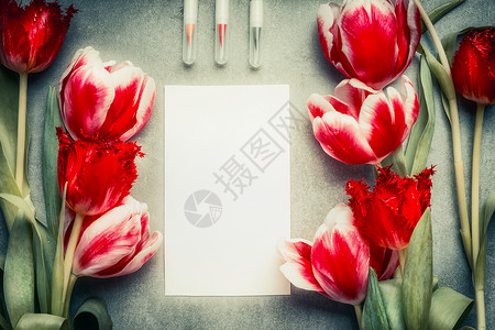空白白卡与铅笔郁金香花,顶部视图,框架抽象的问候图片