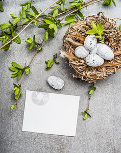 复活节鸡蛋巢与弹簧树枝空白白纸卡,顶部视图图片