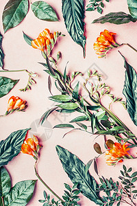 创意平躺由热带花卉树叶制成,背景为粉红色,顶部景色图片