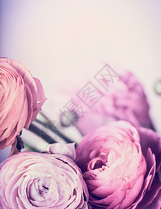 淡粉色的花粉彩背景上,特写花卉边框贺卡的背景图片