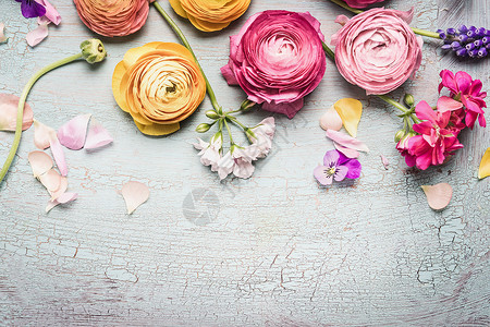土耳其玫瑰花园花的高清图片