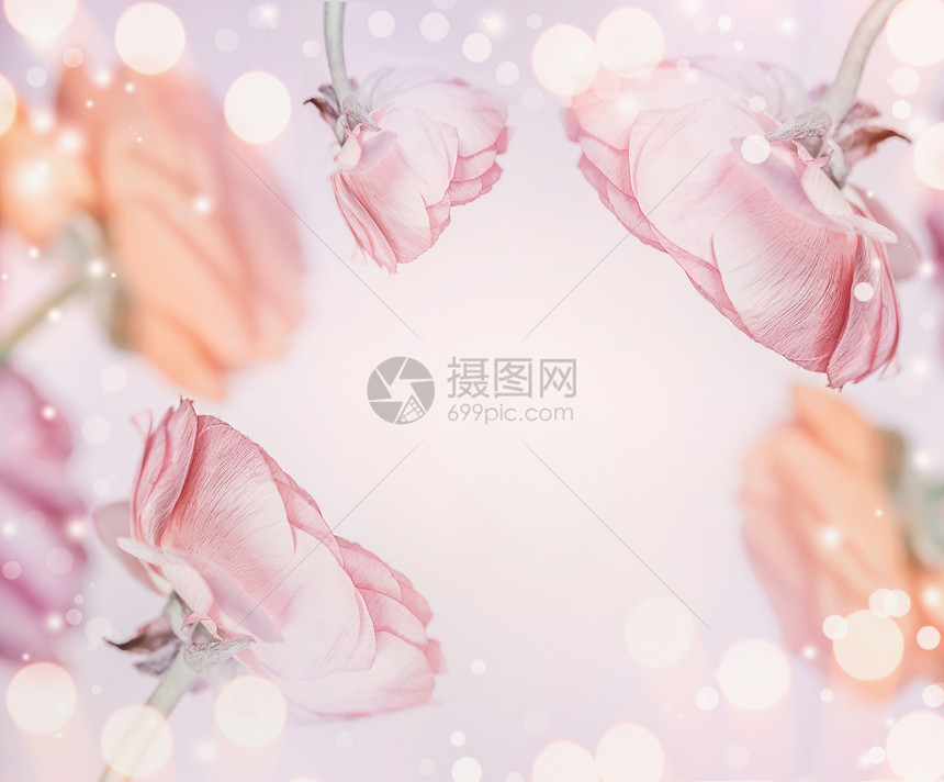 粉粉色花卉背景与Bokeh,框架节日贺卡图片