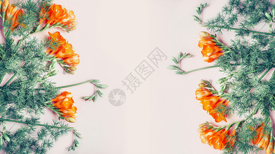 创意花卉横幅与自由花粉彩背景,顶部视图,图片