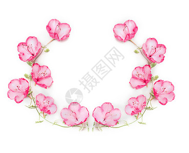 花圈与粉红色的花白色的背景,顶部的图片
