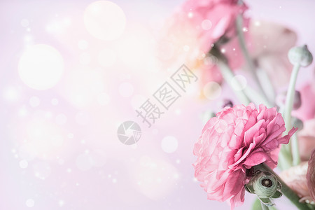 粉红色的花贴边与Bokeh背景奶油花背景