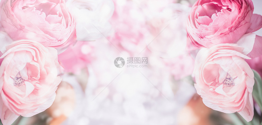 花缘与粉红色的淡花博凯背景的特写粘贴节日贺卡图片