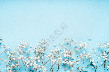 蓝色背景上的白色小果花,漂亮的花边,顶部视图,水平高清图片