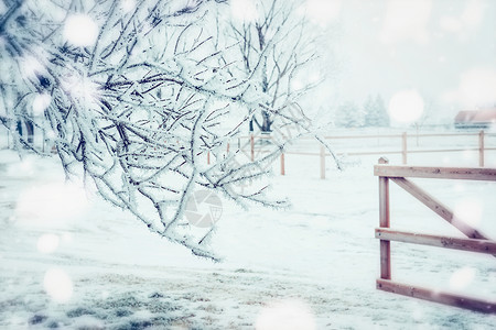 冬季乡村景观与冻结的树木,雪木栅栏,户外自然背景图片