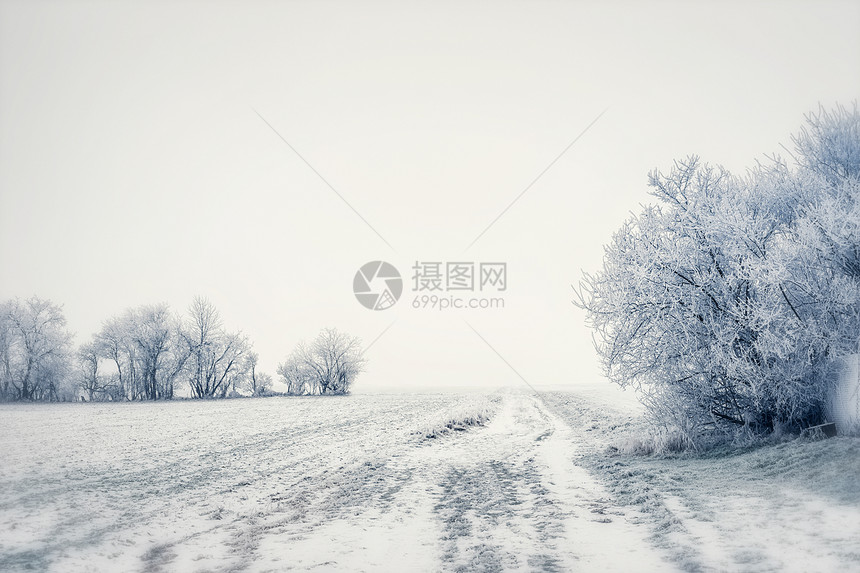 美丽的冬季乡村景观,雪树田野,户外自然图片