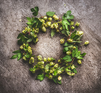 藤蔓花枝底纹绿色花枝花环,啤酒酿造原料灰色背景上,顶部视图背景
