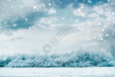美丽的冬季景观与冻结的树木雪覆盖的田野天空背景与降雪图片