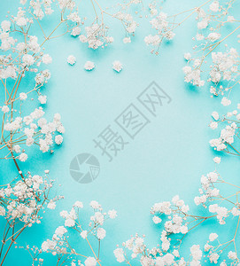 美丽的白色小花浅蓝色绿松石背景,顶部视图,框架图片