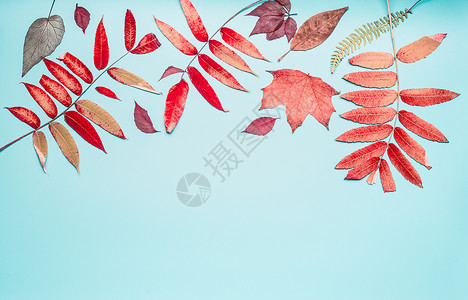 秋天植物边框美丽的秋天季节构图边框,用各种五颜六色的落叶成蓝绿色的背景,顶部的景色,框架背景