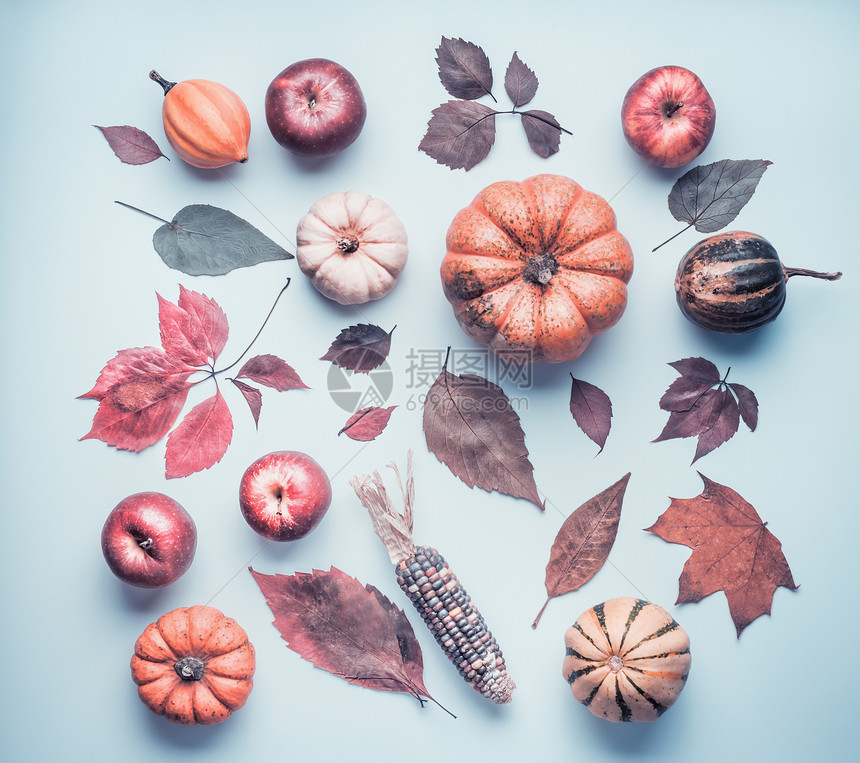 创意秋平躺着各种五颜六色的小南瓜,苹果落叶蓝色的桌子背景,顶部的景色秋季构图图案背景图片