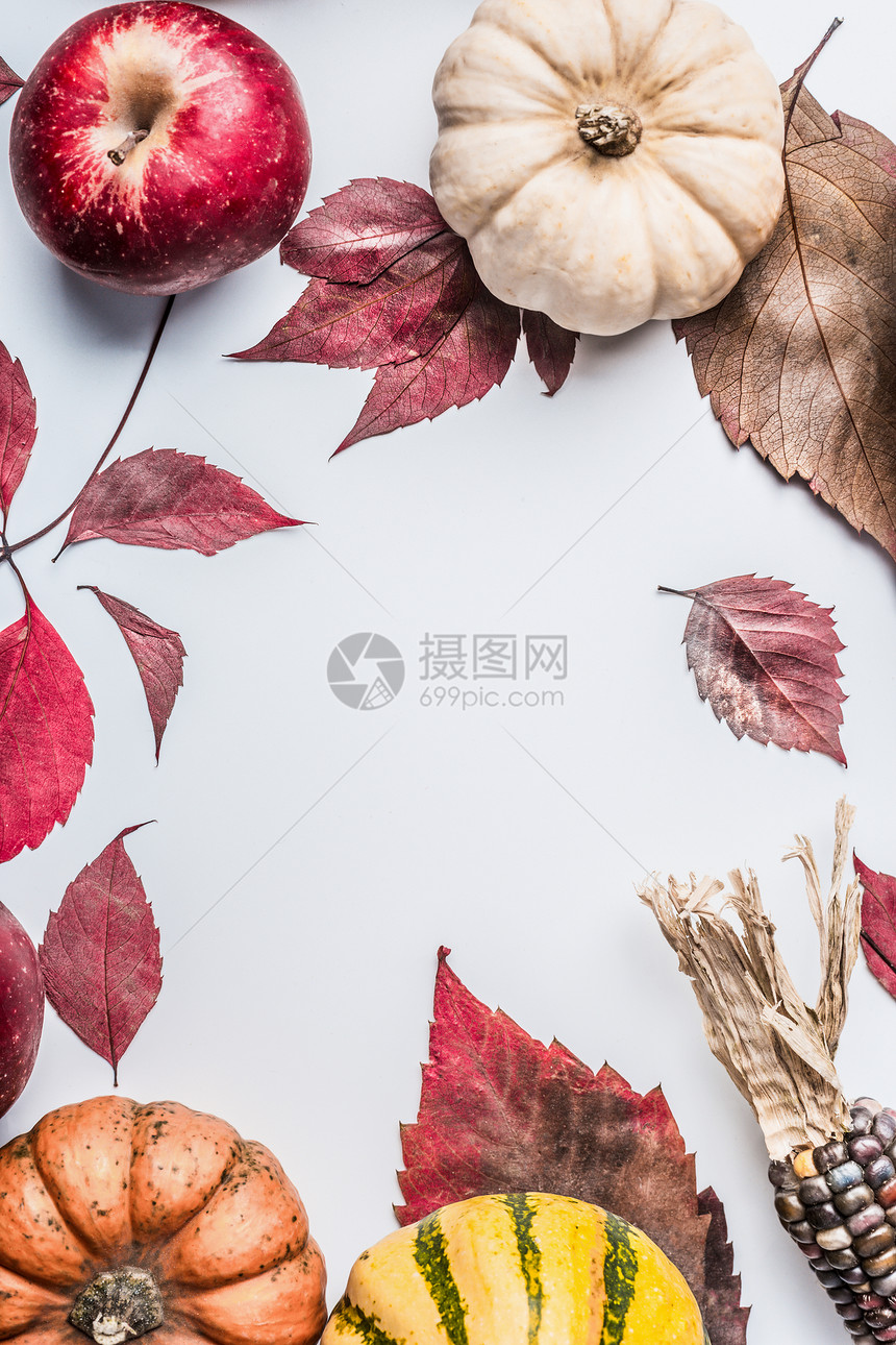 美丽的秋天背景,各种五颜六色的南瓜,苹果落叶白色的桌子背景,顶部的景色,框架图片