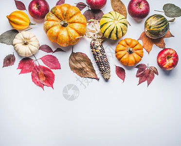 秋天与南瓜玉米苹果树叶成,背景轻盈,视野开阔由天然机农产品制成的秋季边界图片