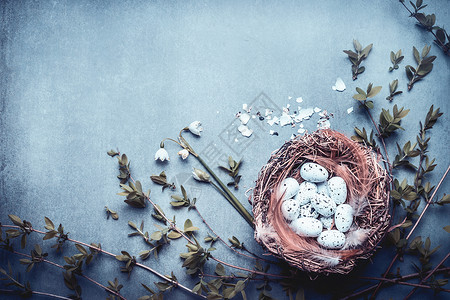 复活节背景,鸟巢的鸟蛋,羽毛春天的树枝花蓝调,顶部视图图片