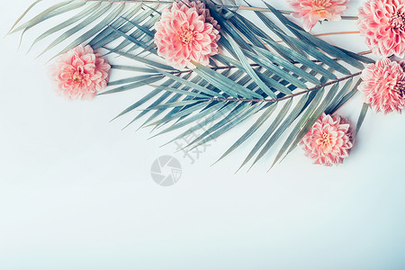创意布局与热带棕榈叶淡绿色蓝色桌背景上的粉彩花图片
