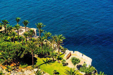 绿色棕榈树蓝色海洋景观的鸟瞰图图片
