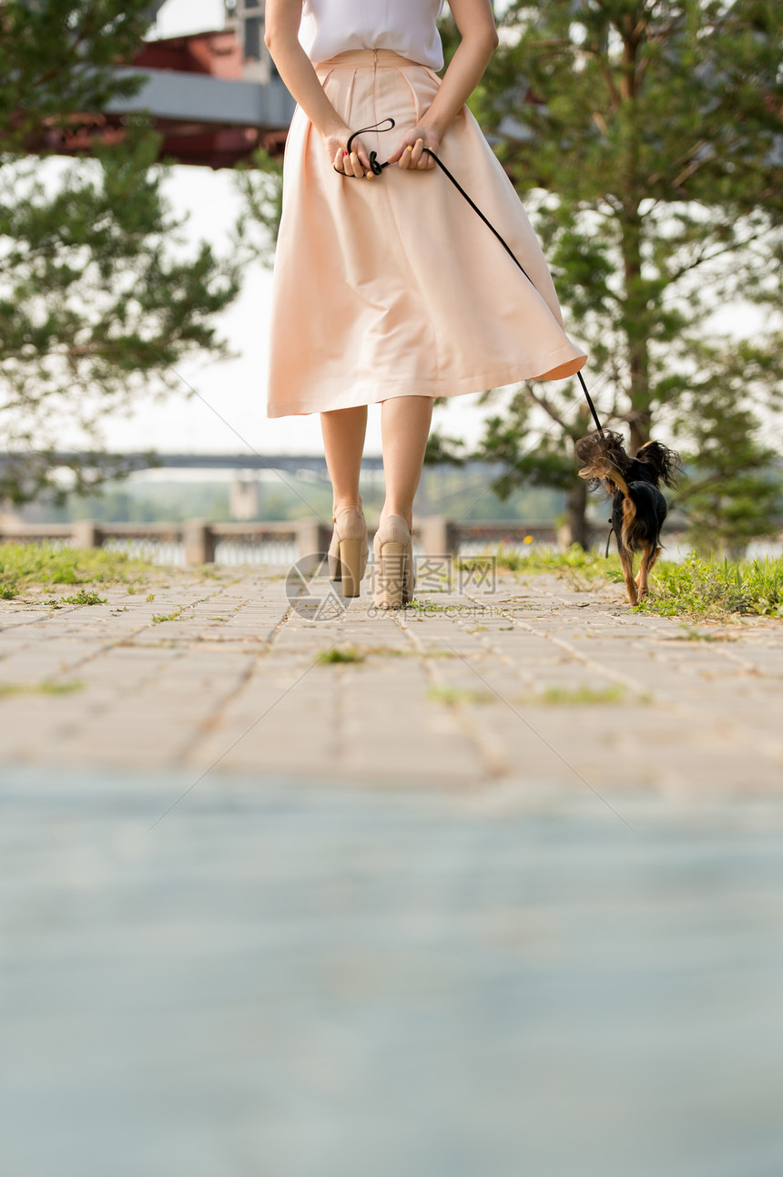 夏天的公园里,位目全非的女士她的狗铅上散步后看图片