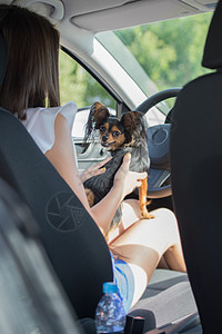 夏天旅行的女人狗车里趣的狗旅行带宠物的假期图片