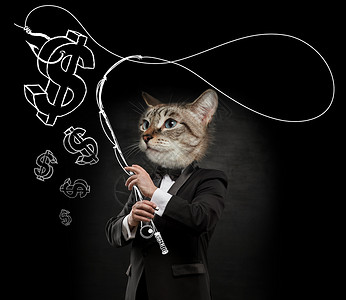 猫头钓鱼钱的商人图片