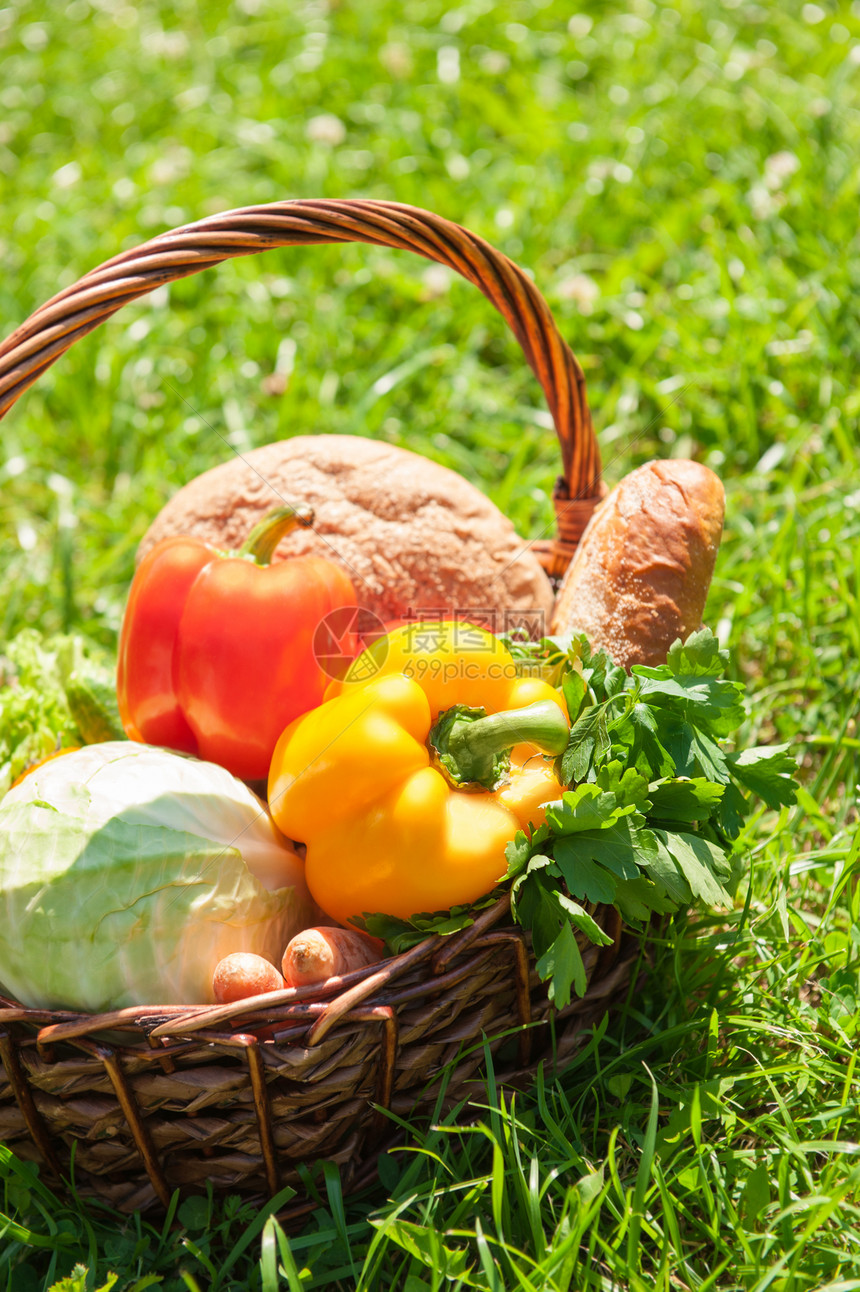 收获的季节蔬菜包柳条篮子上的绿色草地花园图片