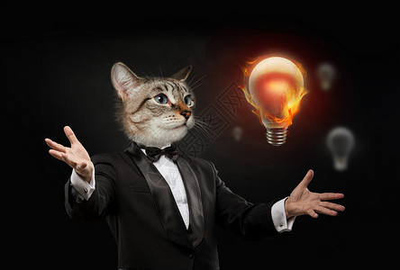 猫头的商人看着燃烧的灯泡个很好的主意图片