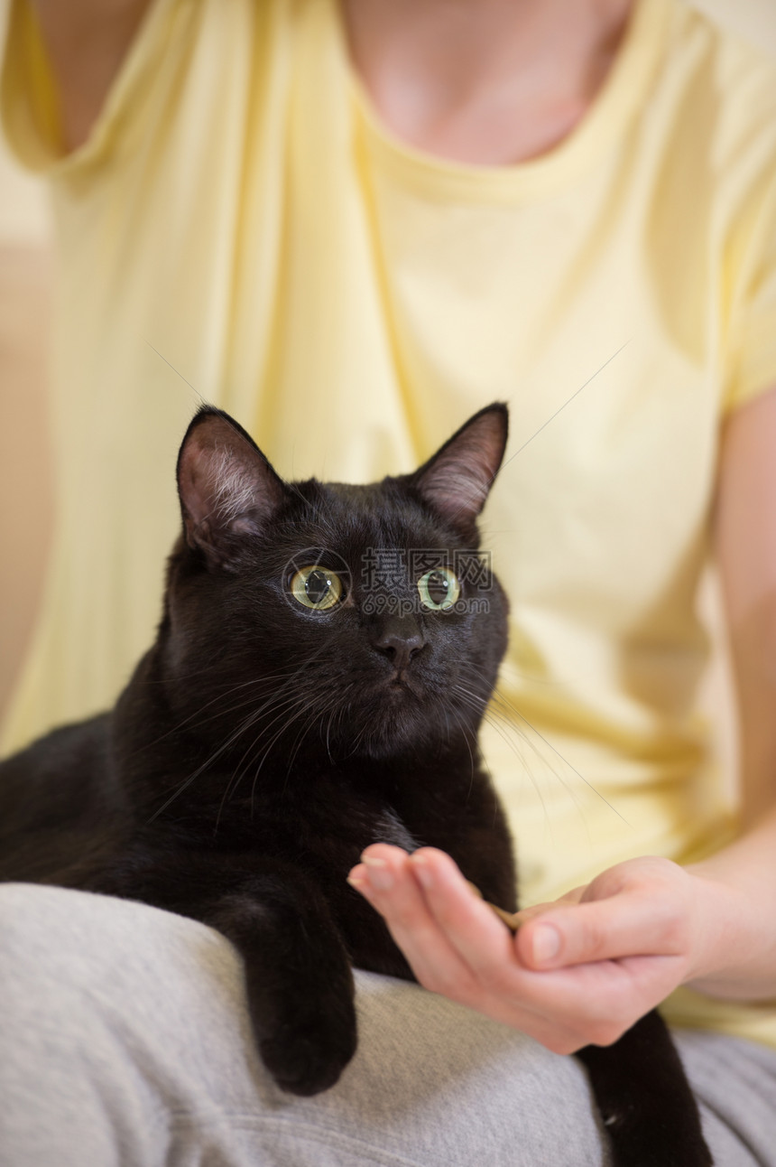 目全非的女人家喂她的黑猫图片