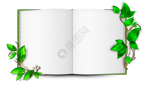 简单的空白书的插图,周围树叶生态背景图片