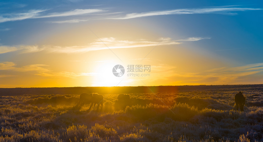 日落时分,怀俄明州风景优美的小路图片