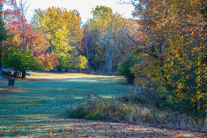 西弗吉尼亚秋天的五颜六色的森林图片