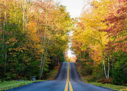 秋天,条穿过黑水瀑布州立公园的两条小巷背景图片