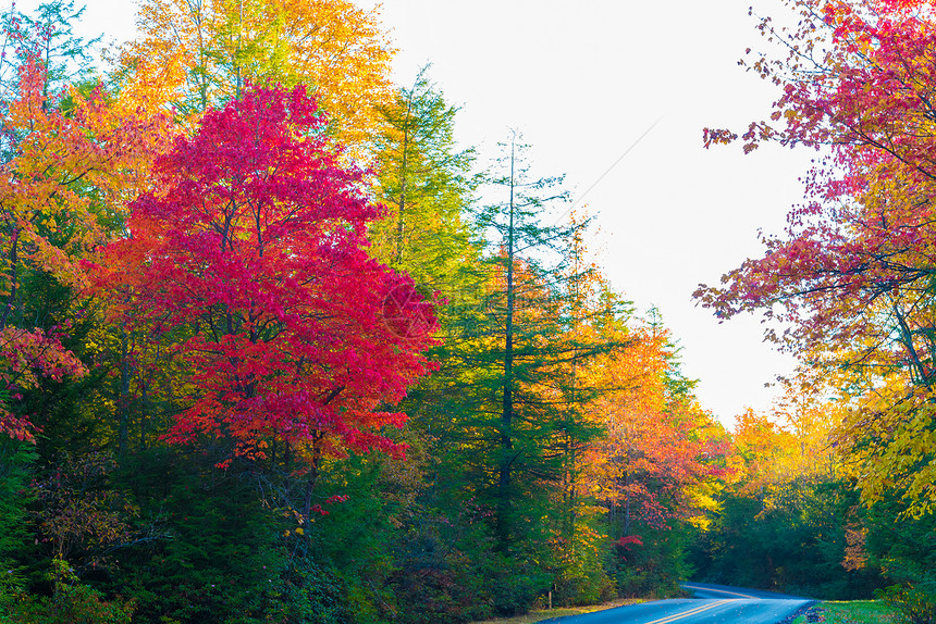 秋天,条穿过黑水瀑布州立公园的两条小巷图片