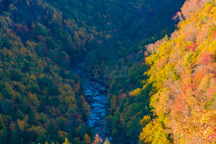 俯瞰黑水瀑布州立公园,西弗吉尼亚图片