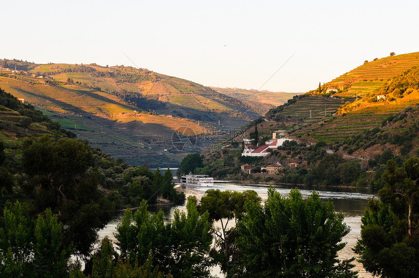 葡萄牙道罗谷河的葡萄园山图片